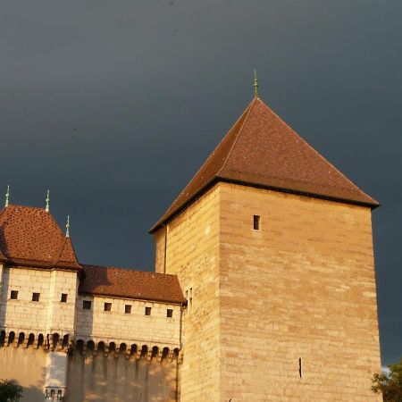 Appartement Dans La Vieille Ville, En Face Du Chateau Annecy Buitenkant foto