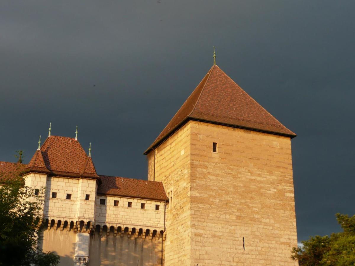 Appartement Dans La Vieille Ville, En Face Du Chateau Annecy Buitenkant foto