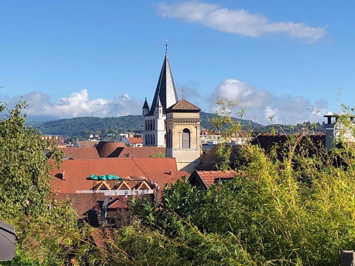 Appartement Dans La Vieille Ville, En Face Du Chateau Annecy Buitenkant foto