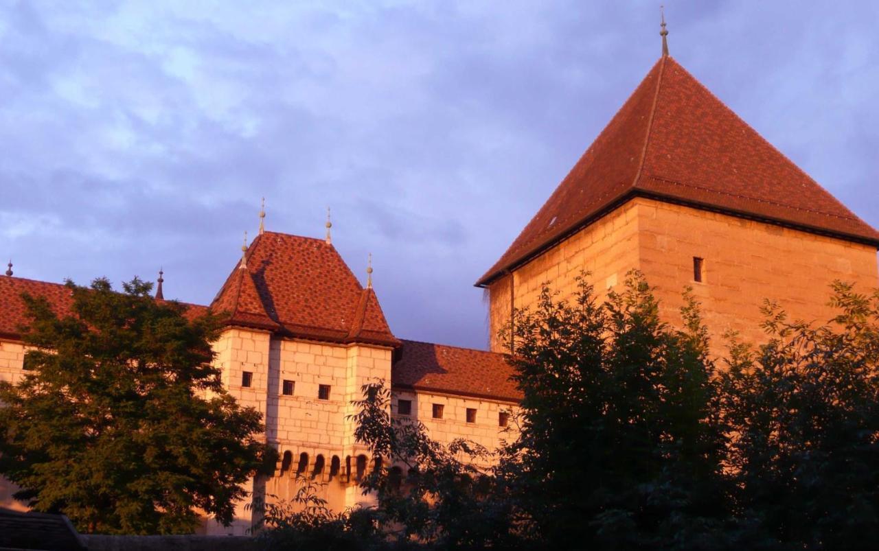 Appartement Dans La Vieille Ville, En Face Du Chateau Annecy Buitenkant foto