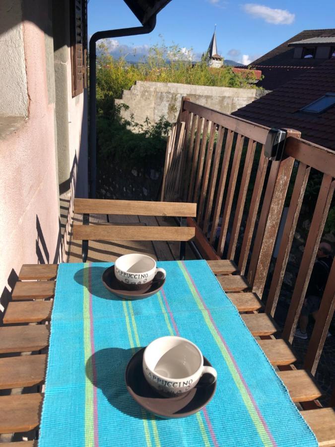Appartement Dans La Vieille Ville, En Face Du Chateau Annecy Buitenkant foto